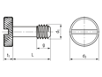 Technical drawing with dimensions of PEM® PS10 - Captive screws with slotted head