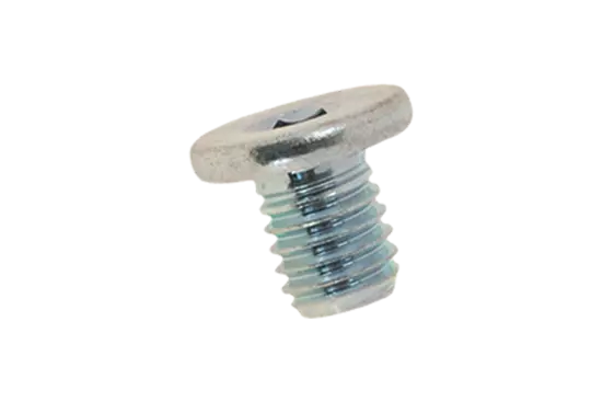 BN 20697 | Hex socket head cap screws with extremely low head