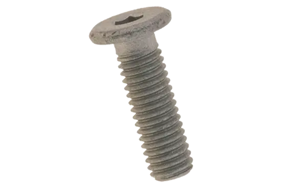 BN 20698 | Hex socket head cap screws with extremely low head
