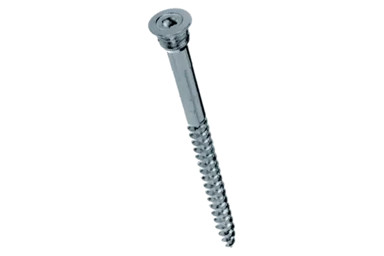 BN 20914 | Hex socket spacer screws