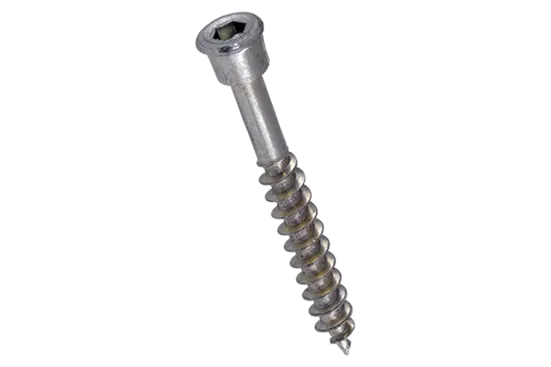 BN 20916 | Hex socket universal screws