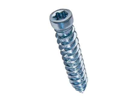Product image of Hexalobular (6 Lobe) socket cheese head frame screws