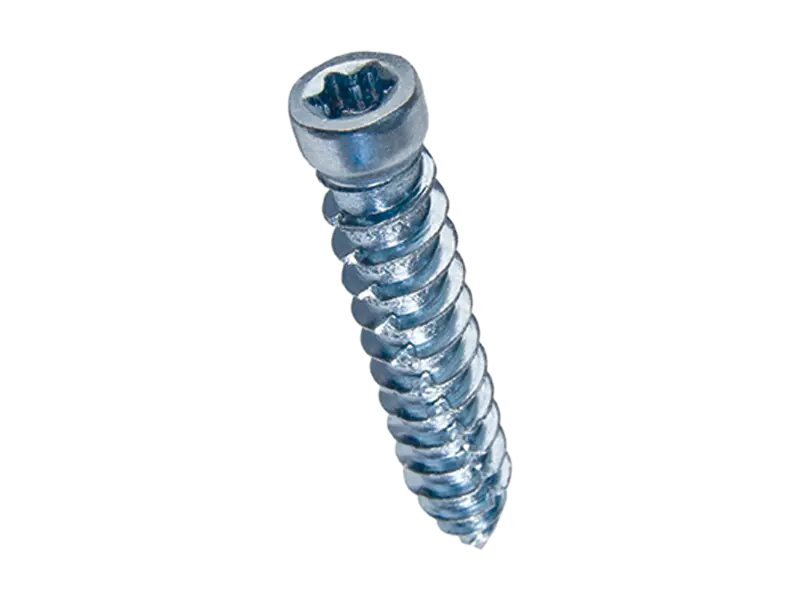 Product image of Hexalobular (6 Lobe) socket cheese head frame screws