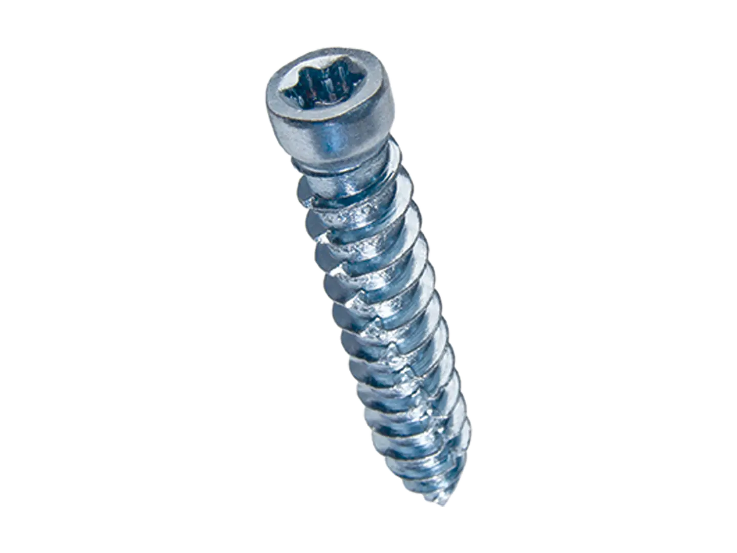 BN 20924 | Hexalobular (6 Lobe) socket cheese head frame screws