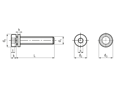 Technical drawing with dimensions of Hex socket head cap screws with low head and captive ripped lock washer