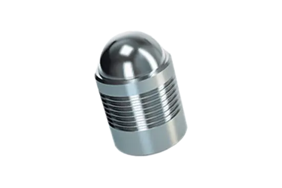 BN 26171 | Sealing plugs