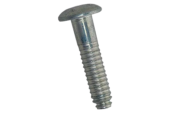BN 29964 | Lockbolts dome head