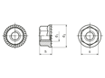 带尺寸的技术图：带锯齿六角法兰面锁紧螺母