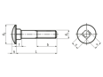 Technical drawing with dimensions of Round head square neck bolts without hex nuts