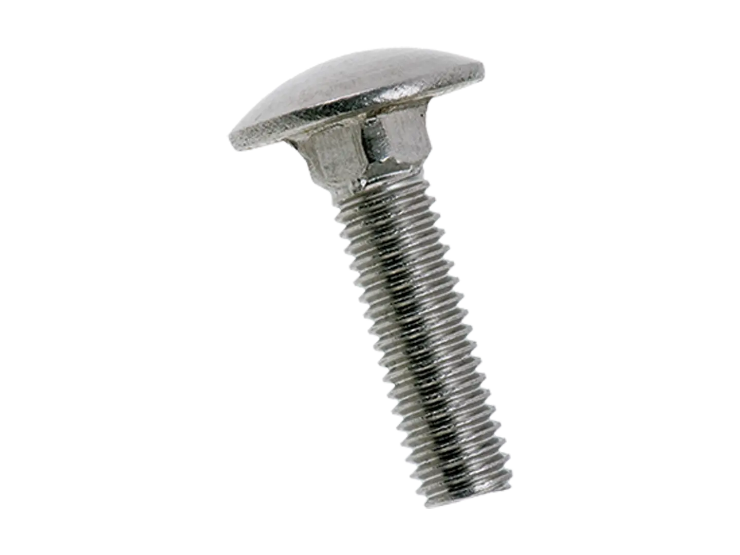 BN 31107 | Round head square neck bolts without hex nuts