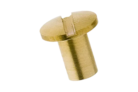 BN 31209 | Bush to book screws