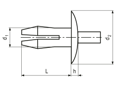 Technical drawing with dimensions of Expansion rivets