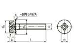 Technical drawing with dimensions of Phillips cross recessed cheese head screws form H, with captive tooth lock washer ~DIN 6797 A