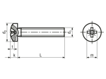 Technical drawing with dimensions of Pozi pan head machine screws form Z