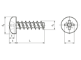 Technical drawing with dimensions of ecosyn® plast - Pan head screws with cross recess Pozidriv type Z