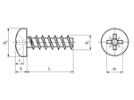 Technical drawing with dimensions of ecosyn® plast - Pan head screws with cross recess Pozidriv type Z