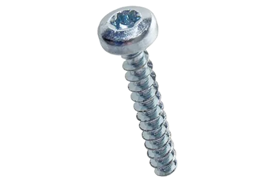 BN 84229 | Pan head screws with hexalobular (6 Lobe) socket
