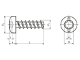 Technical drawing with dimensions of ecosyn® plast - Pan head screws «Freedriv» with hexalobular (6 Lobe) socket with uncontinuous slot
