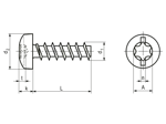 Technical drawing with dimensions of ecosyn® plast - Pan head screws «Freedriv» with hexalobular (6 Lobe) socket with uncontinuous slot