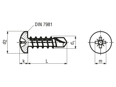 Technical drawing with dimensions of Pozi pan head self-drilling screws form Z