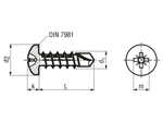 Technical drawing with dimensions of Pozi pan head self-drilling screws form Z